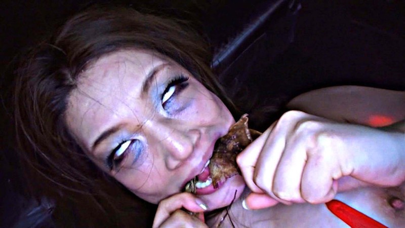 サンプル画像 4