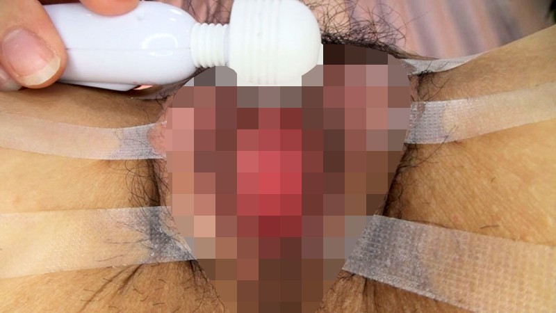 サンプル画像 5