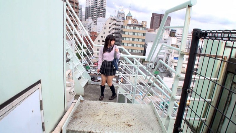 サンプル画像 13