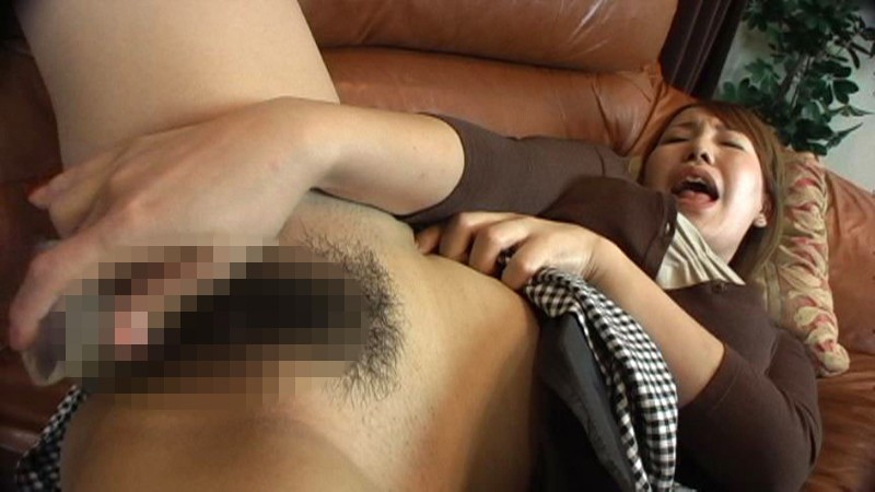 サンプル画像 5