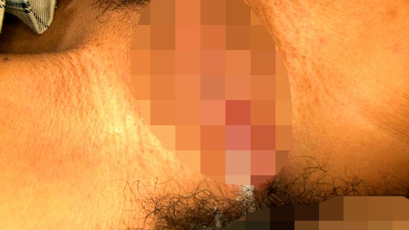 サンプル画像 11