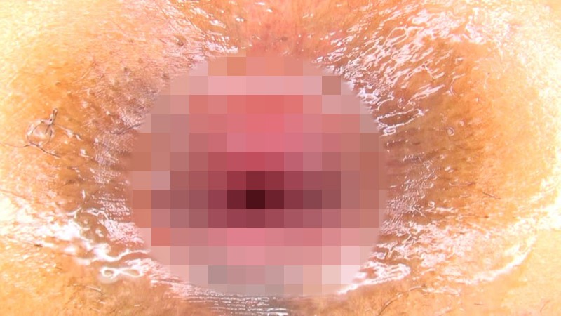 サンプル画像 16