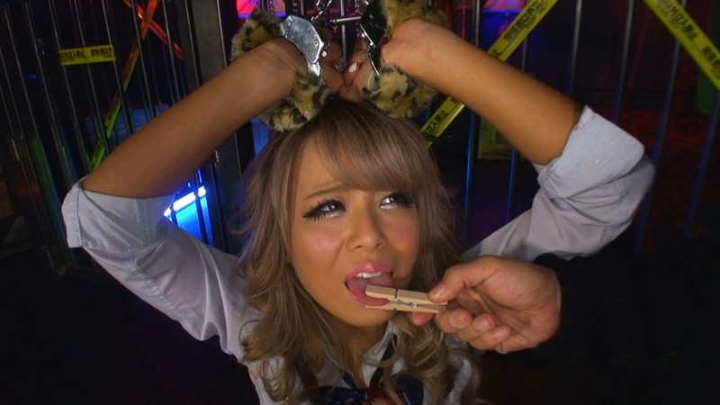 サンプル画像 11