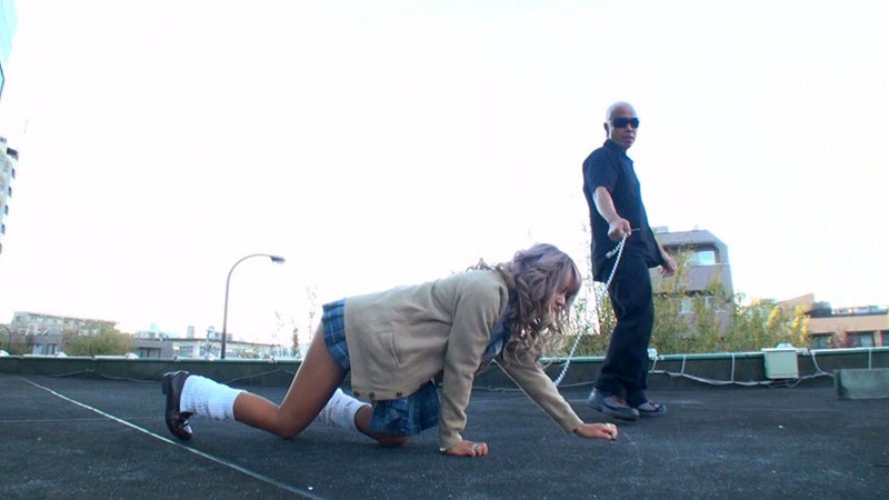 サンプル画像 5