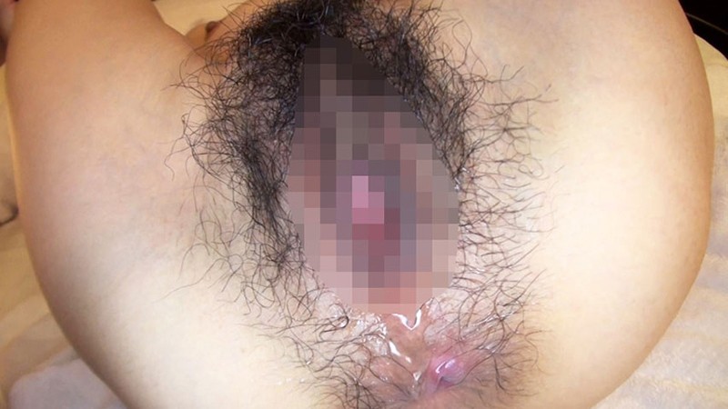 サンプル画像 5