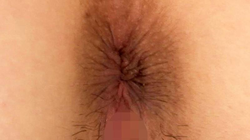 サンプル画像 9