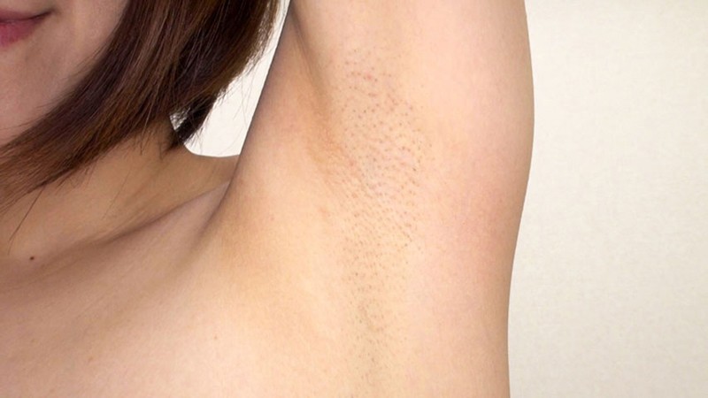 サンプル画像 11