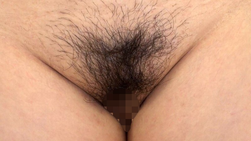 サンプル画像 12