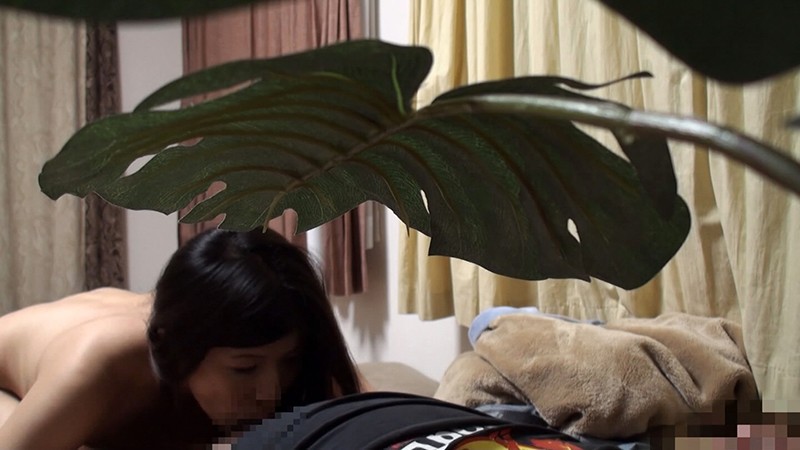 サンプル画像 15