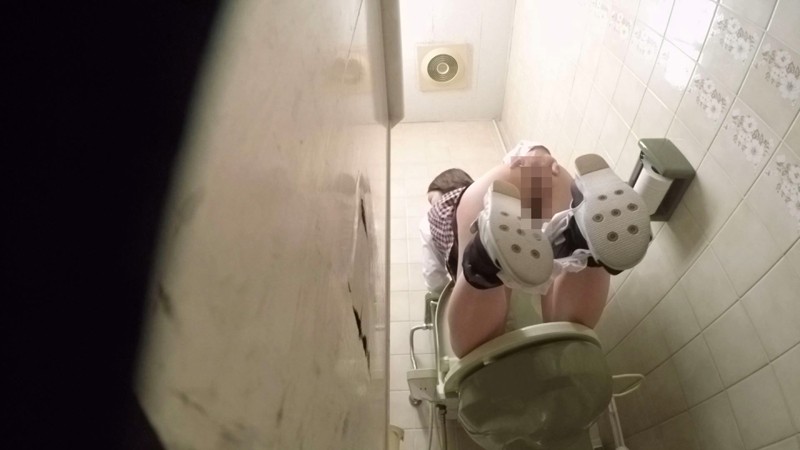 サンプル画像 13