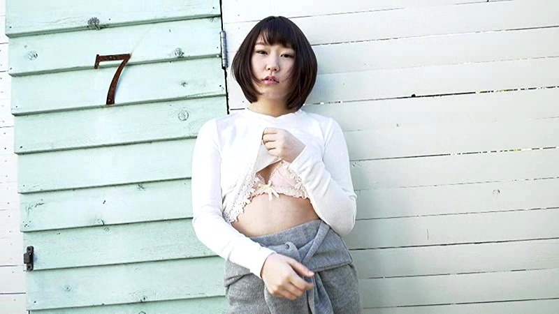 サンプル画像 2
