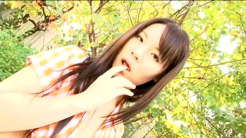 サンプル画像 5