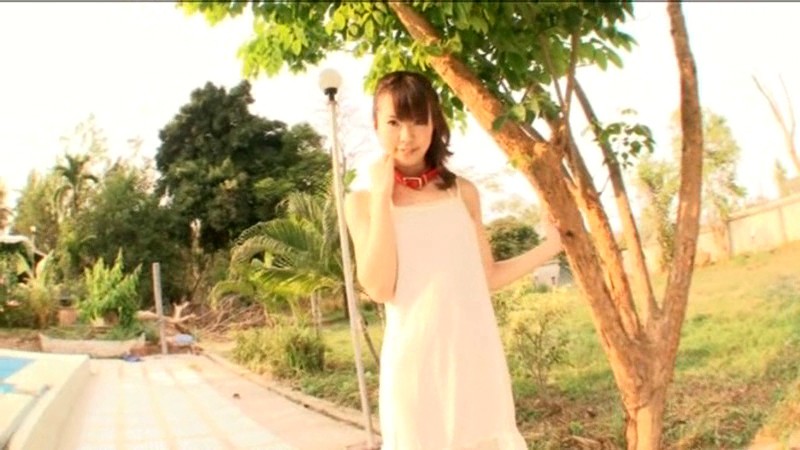 サンプル画像 17