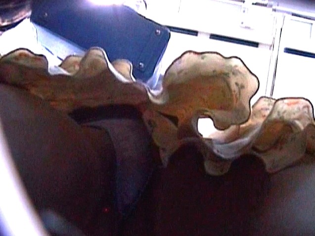 サンプル画像 8