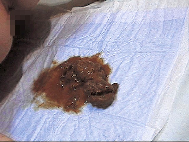 サンプル画像 9