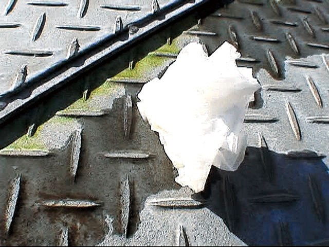 サンプル画像 11