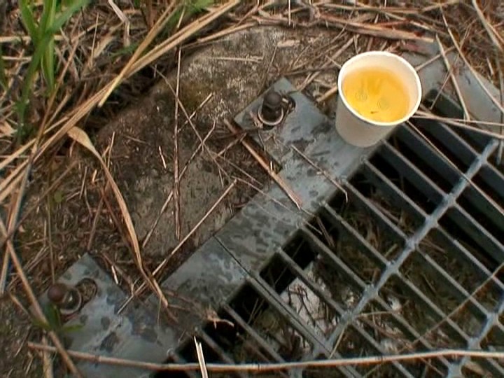 サンプル画像 20