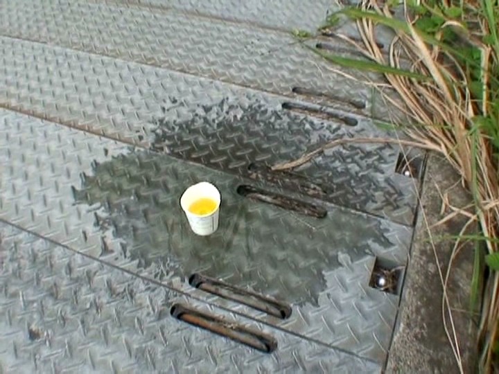 サンプル画像 6