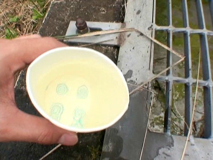 サンプル画像 8