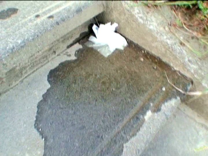 サンプル画像 16