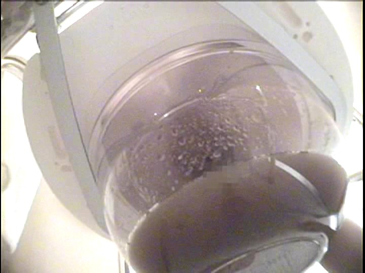 サンプル画像 11