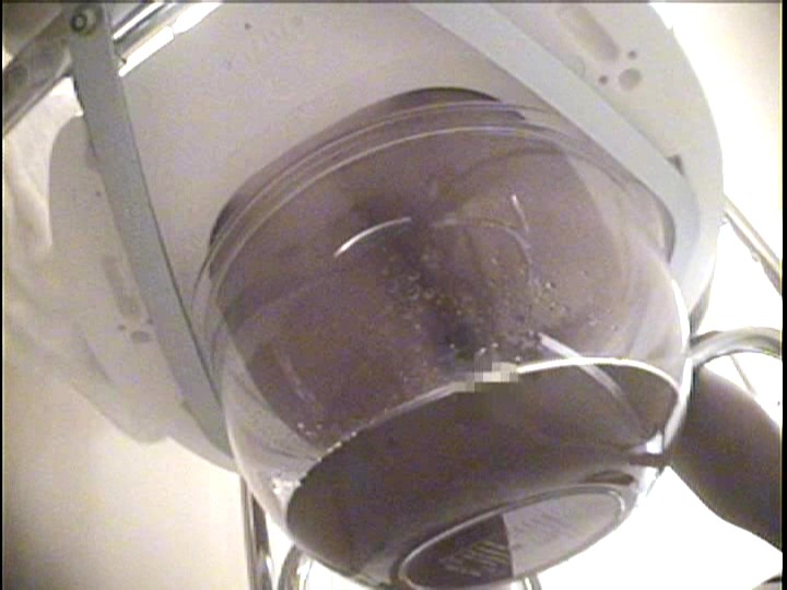 サンプル画像 21