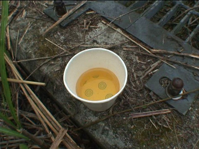 サンプル画像 5