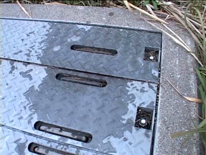 サンプル画像 13