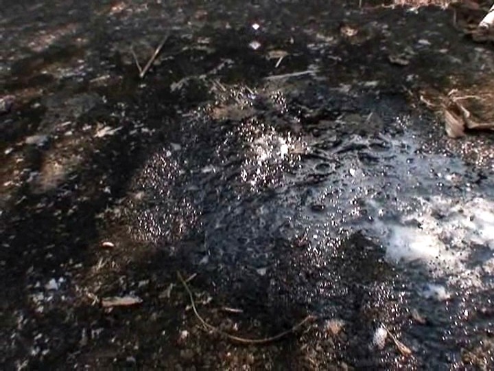 サンプル画像 19