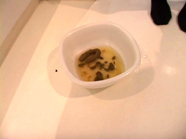 サンプル画像 7