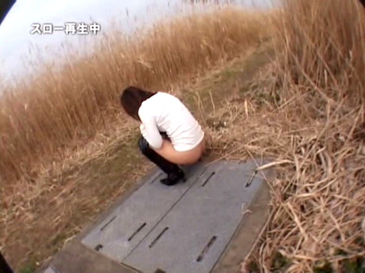 サンプル画像 11