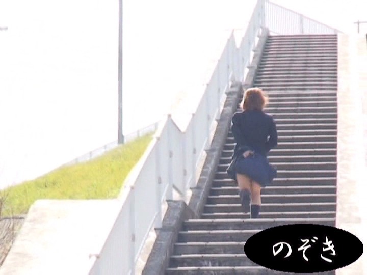 サンプル画像 14