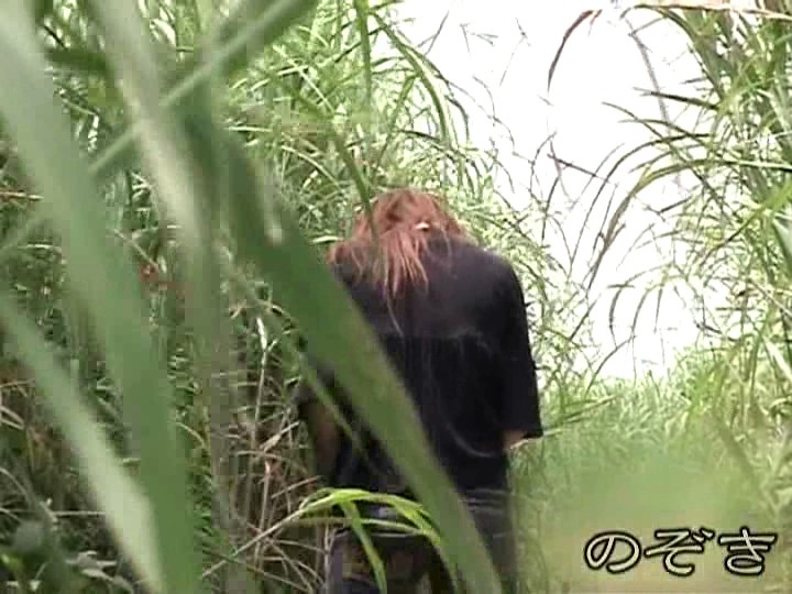 サンプル画像 11