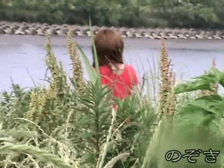 サンプル画像 17