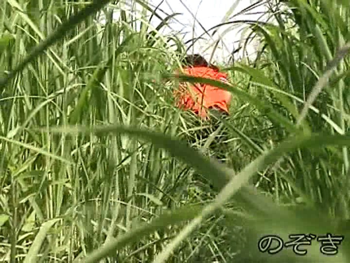 サンプル画像 3