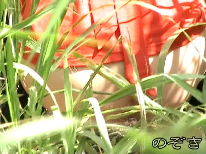 サンプル画像 4