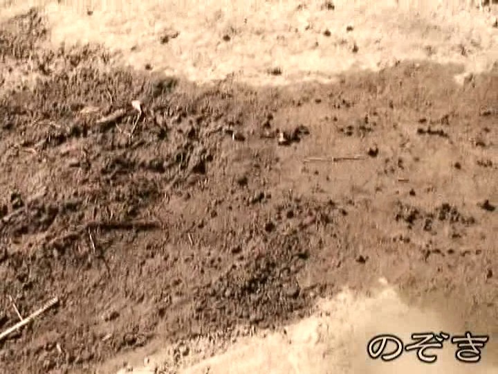 サンプル画像 6