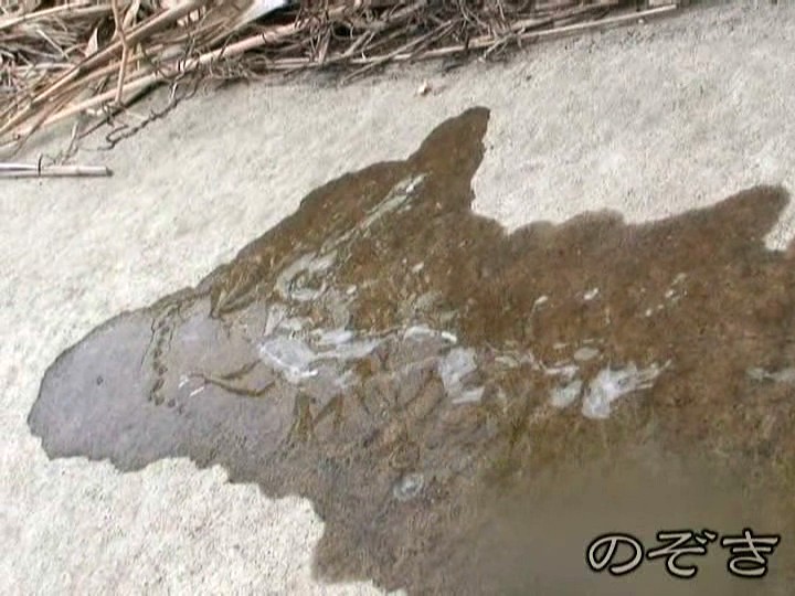 サンプル画像 8