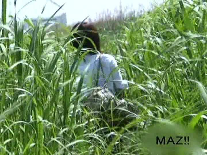 サンプル画像 8