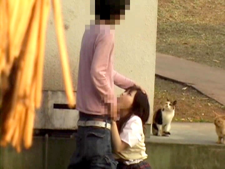 サンプル画像 4