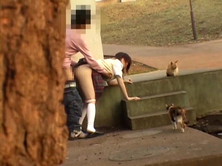 サンプル画像 5