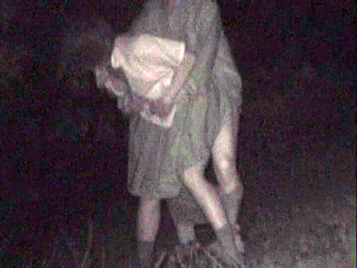 サンプル画像 11