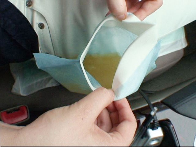 サンプル画像 3