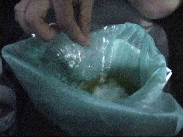 サンプル画像 7