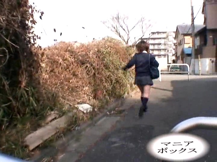 サンプル画像 20