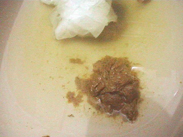 サンプル画像 9