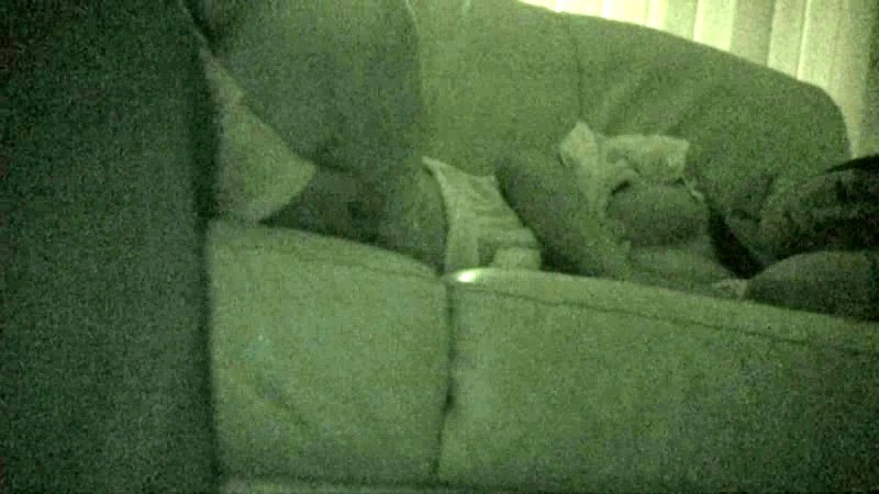 サンプル画像 3