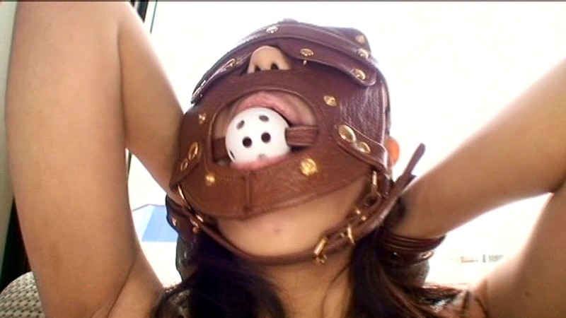 サンプル画像 11