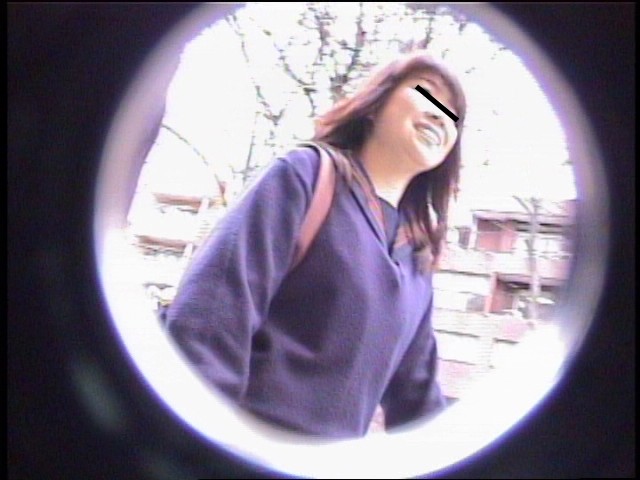 サンプル画像 3