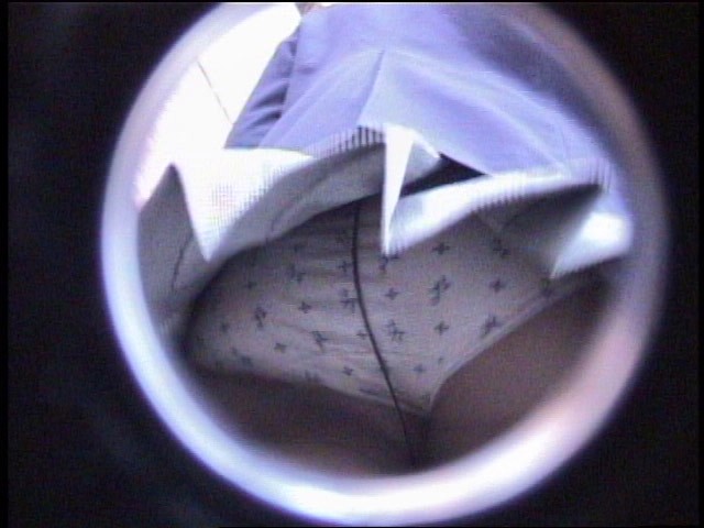 サンプル画像 6